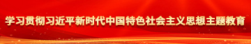 黑鸡巴肏骚逼破处嫩逼视频学习贯彻习近平新时代中国特色社会主义思想主题教育